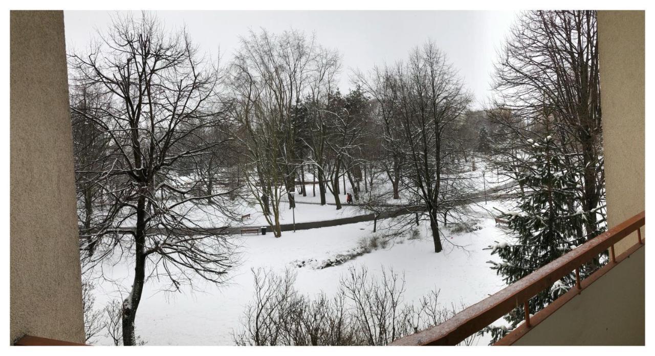 Kwadrat B&B Jalowego Rzeszów Buitenkant foto