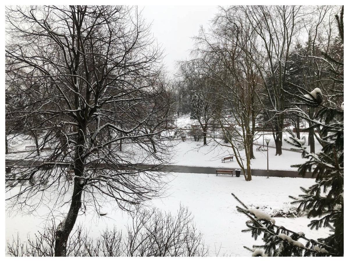 Kwadrat B&B Jalowego Rzeszów Buitenkant foto